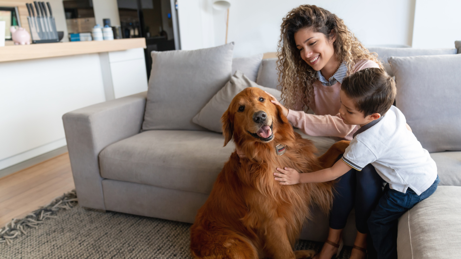 Family sales dog training